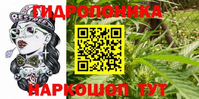 круглые Сланцы