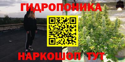 сатива Славгород
