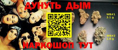 сатива Славгород