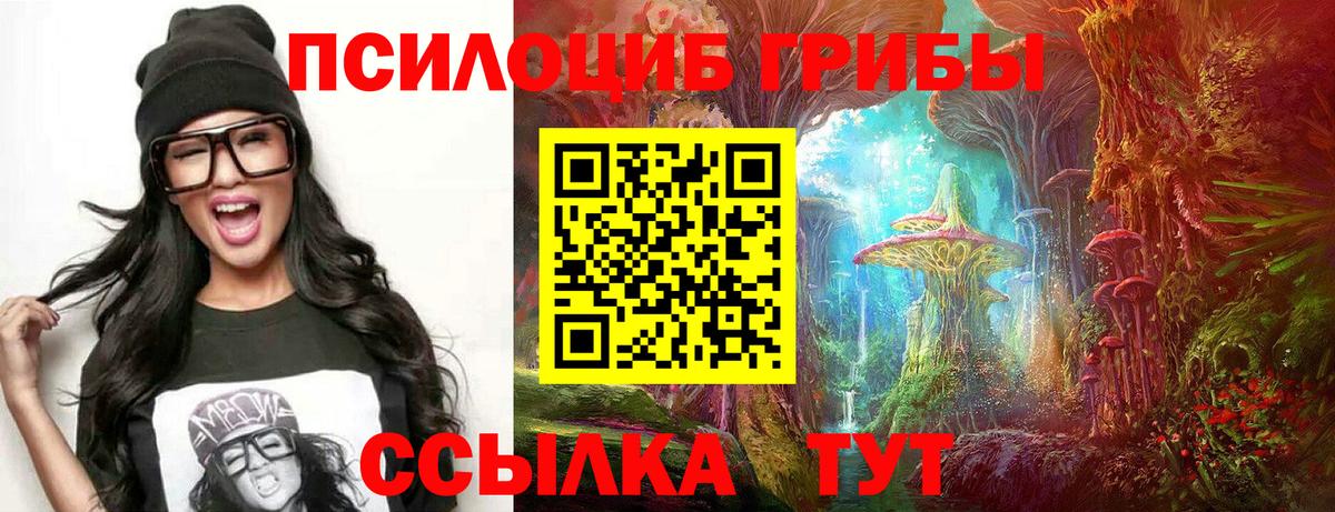 где можно купить наркотик  Вход с VPN  Тайшет  Псилоцибиновые грибы MAGIC MUSHROOMS 