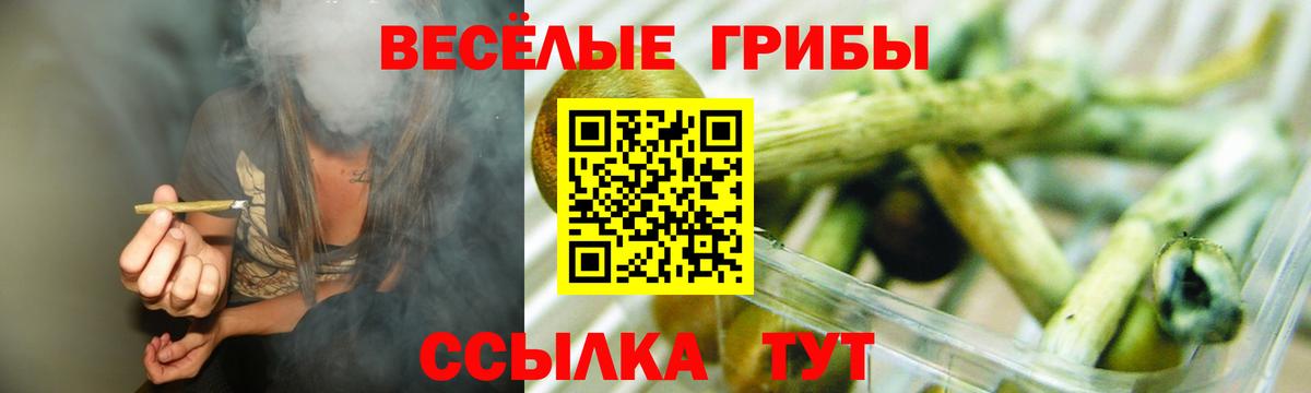 Псилоцибиновые грибы мицелий Тайшет