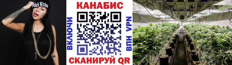 hydra маркетплейс  купить наркоту  Тайшет  маркетплейс телеграм  Канабис AK-47 